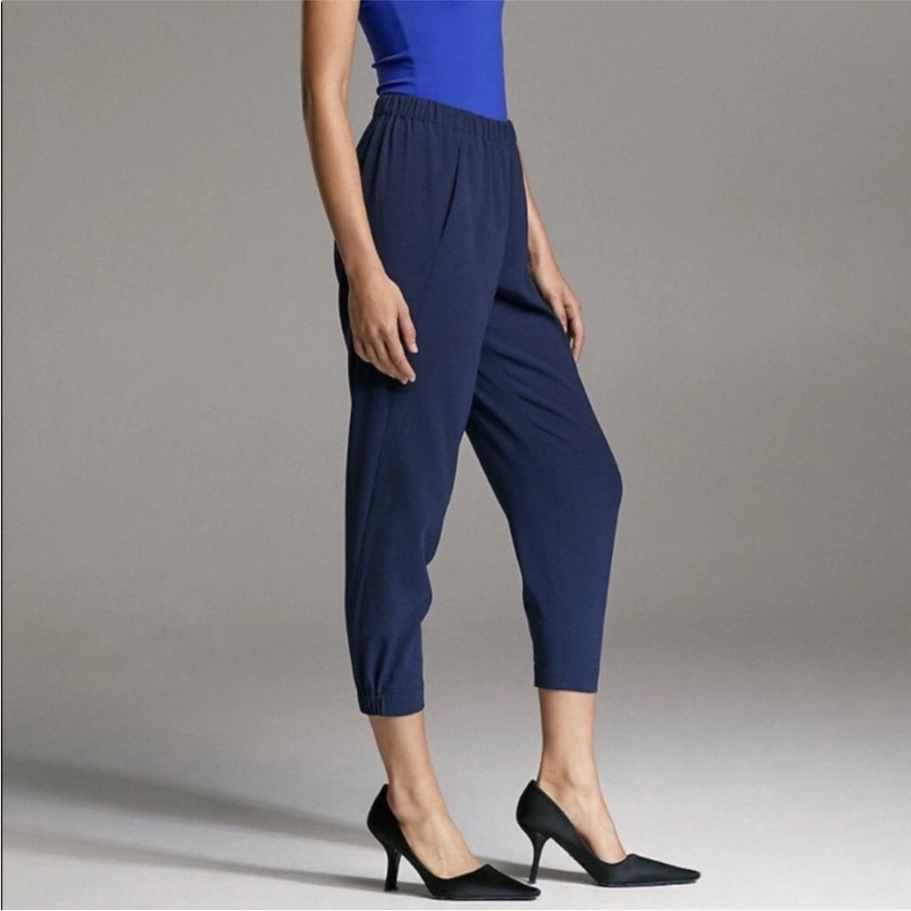 Aritzia Babaton Dexter Tuxedo Pants - Navy